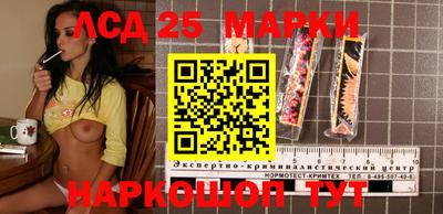 spice Моздок
