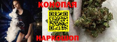 spice Моздок