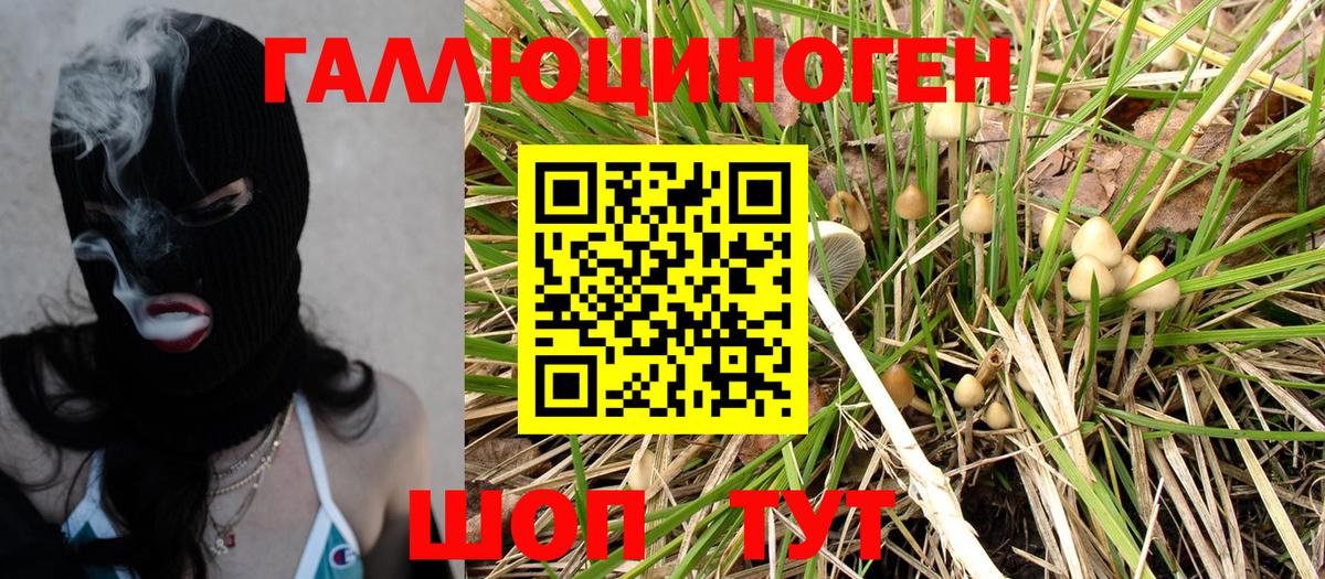 Псилоцибиновые грибы прущие грибы  Галлюциногенные грибы MAGIC MUSHROOMS  Вход с VPN  Рассказово 